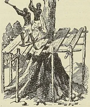 Gravure de l’ouvrage