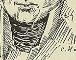 Gravure de l’ouvrage