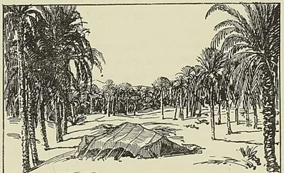 M. DELCASSÉ, ministre des Affaires étrangères, dessin de G. HANOTAUX fils