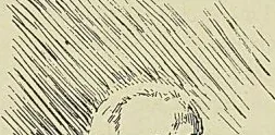 Gravure