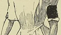 MADAME LA MARÉCHALE LYAUTEY