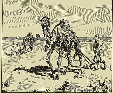 Gravure de l’ouvrage