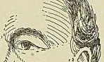 BouiT-WILLAUMEZ, d’après une lithographie
