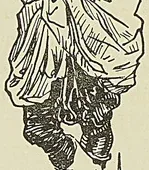 Gravure