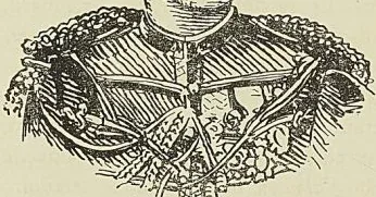 Gravure de l’ouvrage
