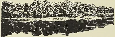 PALMERAIE SUR LA LIKOVALA, d’après un dessin de Boudier