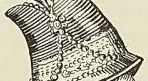 (E. Courtot.)