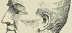 LALLY-TOLLENDAL, d’après un croquis pris lors de son exécution. (E. Courtot.)