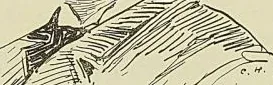 M. PATENôTRE