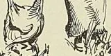 Gravure de l’ouvrage