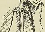 TIRAILLEUR ANNAMITE, GUERRE 1914-1918