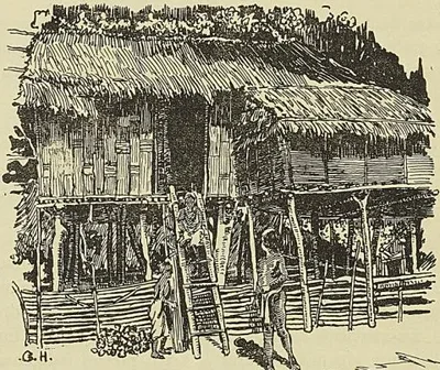 TYPE DE MAISON MOI SUR PILOTIS
