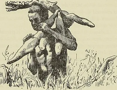 GALLIENI ET LA PACIFIGATION
