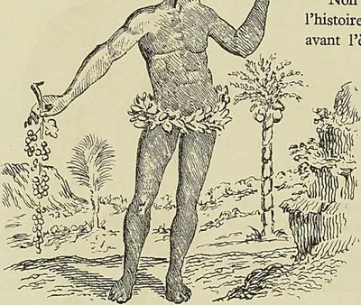 HABITANT DE L’ILE DE MOHÉLI. Gravure extraite de Some years travels, par Th. Herbert…