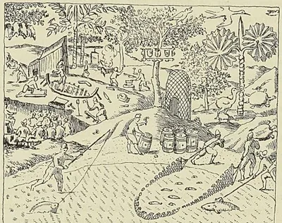 LES HOLLANDAIS A L’ILE MAURICE, d’après de Bry : Iconographie