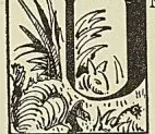 Gravure