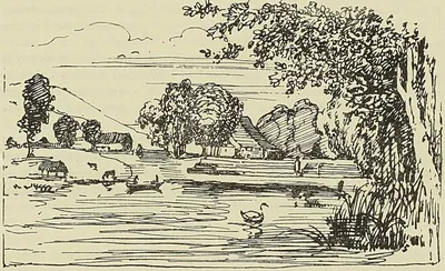 ILE DE FRANCE. JARDIN DE M. CÉRÉ AUX PAMPLEMOUSSES (D’après un dessin de Milbert) (Gravé…