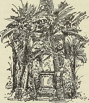 ANCIEN TOMBEAU DE PAUL ET VIRGINIE