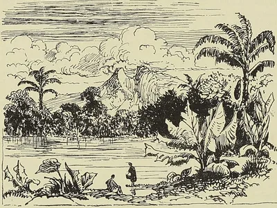 ILE MAURICE. LA GRANDE RIVIÈRE