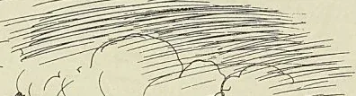 Gravure