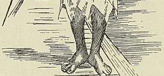 Gravure de l’ouvrage