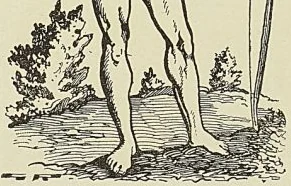 Gravure sans légende, page 4