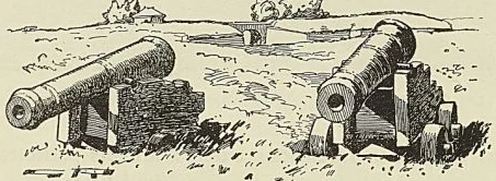 LES VIEUX CANONS DE PORT-RoYAL, cul-de-lampe