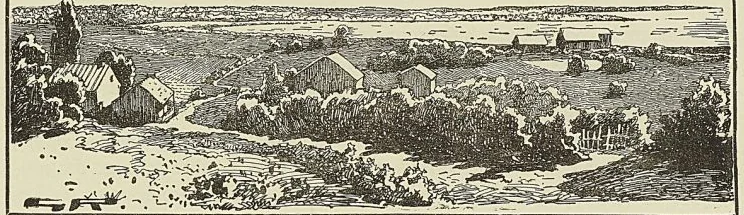 ÉPILOGUE