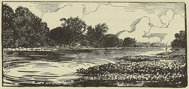 RAYON DE LA TÈCHE, NOUVELLE-ORLÉANS, frontispice