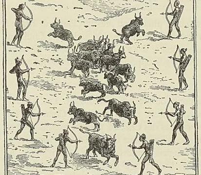 MŒURS DES NATCHEZ : CHASSE AUX BISONS, d’après une gravure du XvIlle siècle