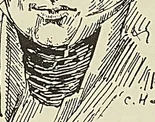 Gravure sans légende, page 96