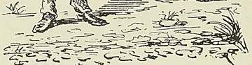 Gravure sans légende, page 396