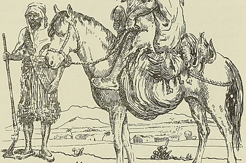 Gravure sans légende, page 401
