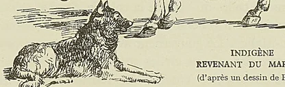 Gravure sans légende, page 401
