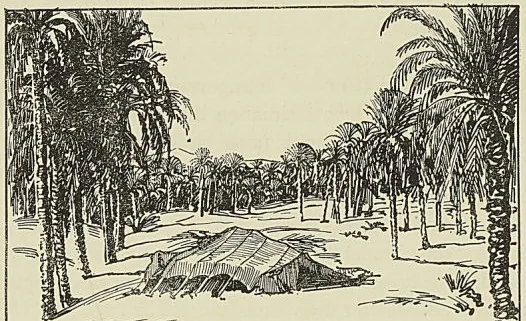 M. DELCASSÉ, ministre des Affaires étrangères, dessin de G. HANOTAUX fils
