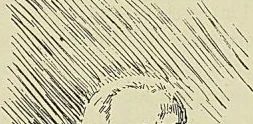 Gravure sans légende, page 165