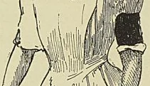 MADAME LA MARÉCHALE LYAUTEY