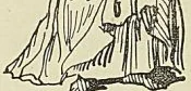 FAVORI DU ROI DE JUDA, d’après Voyage du chevalier des Marchais