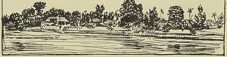 L’ARMÉE DE FOUTATORO, dessin d’Ambroise Tardieu, Mollien : Voyages dans l’intérieur de