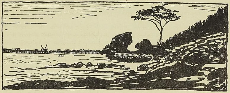 Gravure sans légende, page 565