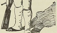 Gravure sans légende, page 175