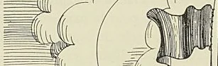 L’ESCADRE DE SUFFREN A TRINQUEMALLÉ. (A. Reiss.)