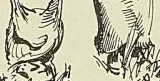 Gravure sans légende, page 476