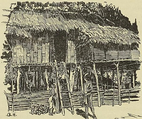 TYPE DE MAISON MOI SUR PILOTIS