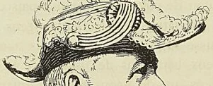 Gravure sans légende, page 178