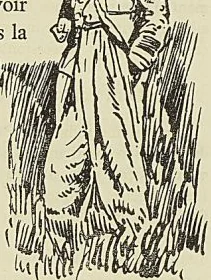 Gravure sans légende, page 229