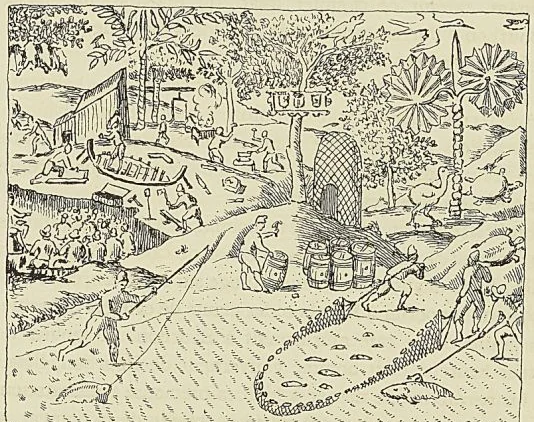 LES HOLLANDAIS A L’ILE MAURICE, d’après de Bry : Iconographie