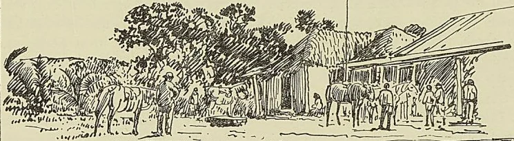 Gravure sans légende, page 421