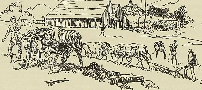 ACANALA (NOUVELLE-CALÉDONIE) (Dessin d’E Bayard) (Garnier : Voyage d la Nouvelle-Calédonie).